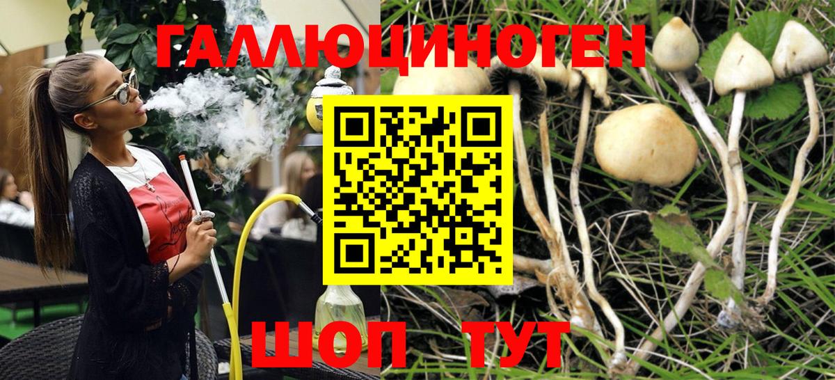 Гудермес  Псилоцибиновые грибы мицелий  Галлюциногенные грибы мухоморы  Вход с VPN 